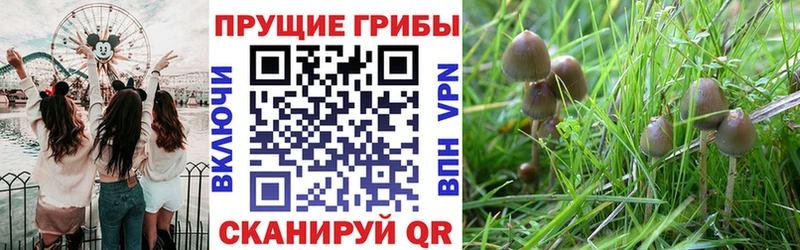 Псилоцибиновые грибы MAGIC MUSHROOMS Мончегорск