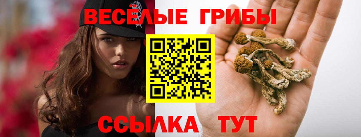 дарнет шоп  Галлюциногенные грибы мухоморы  Вход с VPN  Мончегорск 